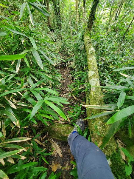 【高雄 | 小百岳白雲山】1060497