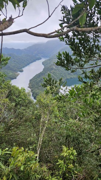 20251230九芎根山-芋圓尖-火炎山南主東峰-仁里坂山2977813