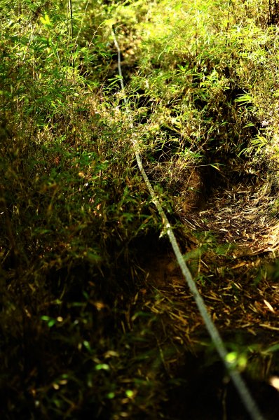 武法奈尾山天巒池872468