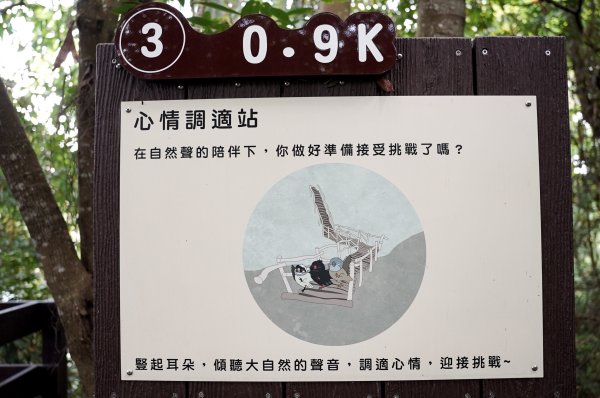 大坑1號步道2865271