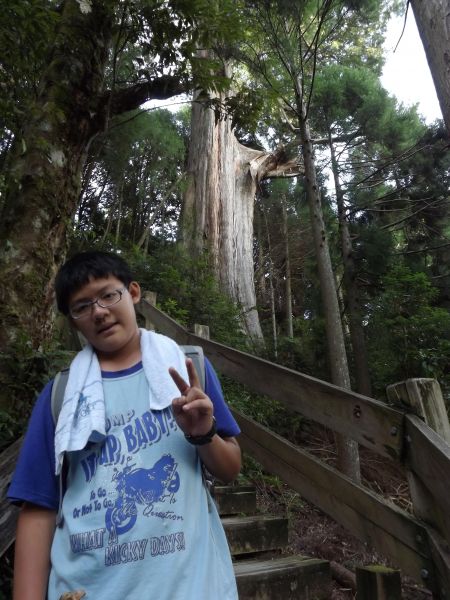 20110724 觀霧檜山巨木森林步道187223