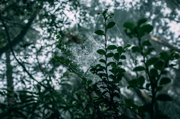 十七歲少女之湖｜松蘿湖包場露營1408699