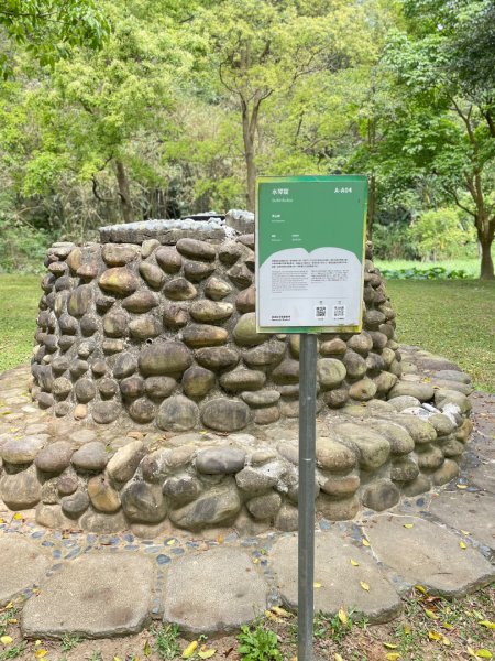 樟之細路-尋寶💎任務1-53019789