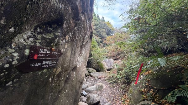 加里山 2025 12/282971683