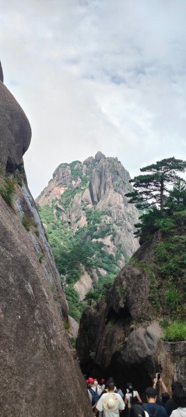 中國黃山 23087416