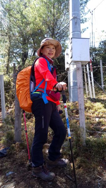 2018.03.17 郡大山麟趾山特富野290665