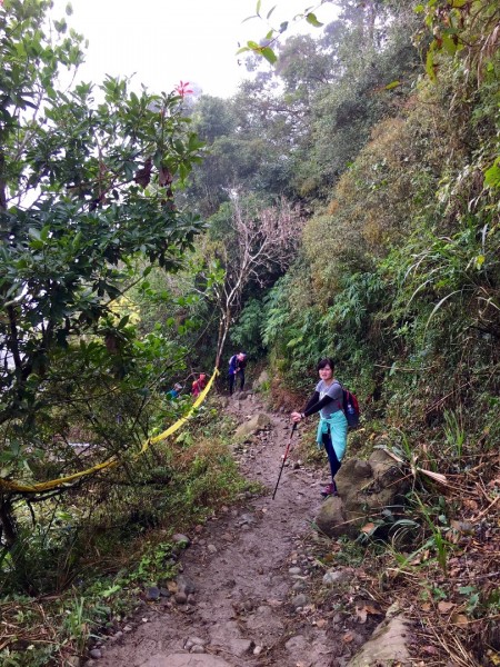 台南第一高山大凍山240769