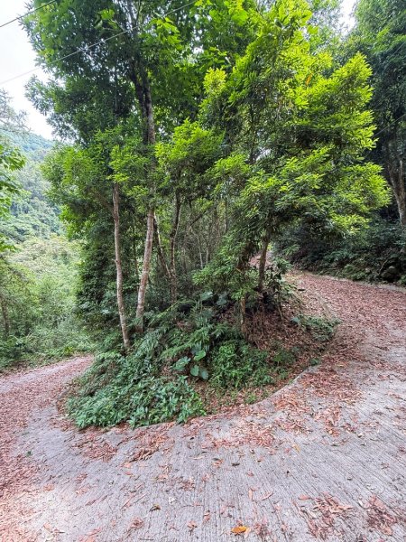 埔里能高瀑布-慶安步道-觀景台2801463