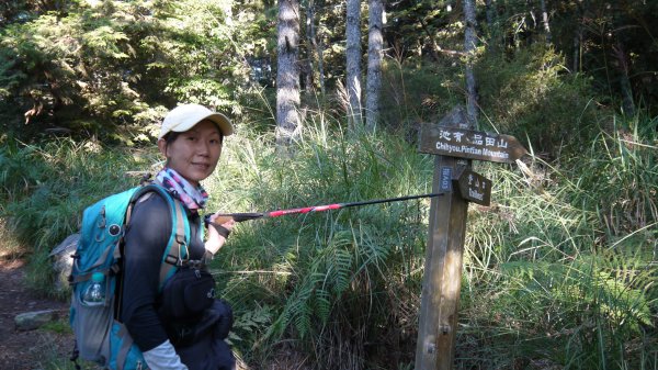 池有山單攻登山健行趣(百岳52)1515181