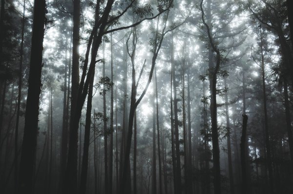 十七歲少女之湖｜松蘿湖包場露營1408701