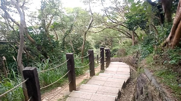 20230228 新竹新豐 鳳崎落日步道 走走2064535