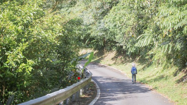 闊瀨古道-沿北勢溪谷而行的夏末之旅（淡蘭古道）2287608