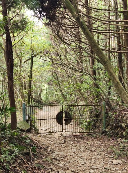 【中級山縱走】最美中級山，鳶嘴西稜縱走（鳶嘴山，醜崠山，長壽山）2741366