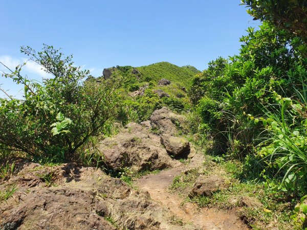 半平山登山步道1368744