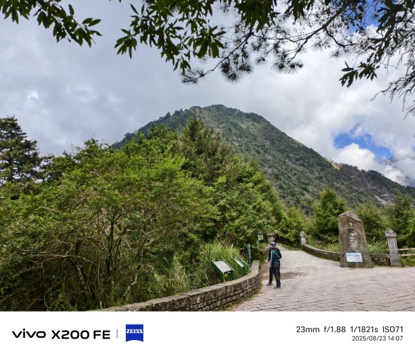 [玉山尋寶任務-05/12] 2025_0823 塔塔加步道(大鐵杉登山步道)2869638