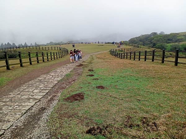 擎天崗環形步道、冷擎步道《擎天崗3山、1潛堡、6圓堡健行巡禮》【走遍陽明山】2081656