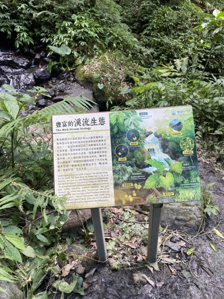三角崙山及抹茶山3065476