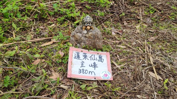 雙石縱走加碼蓬萊仙島山2997565