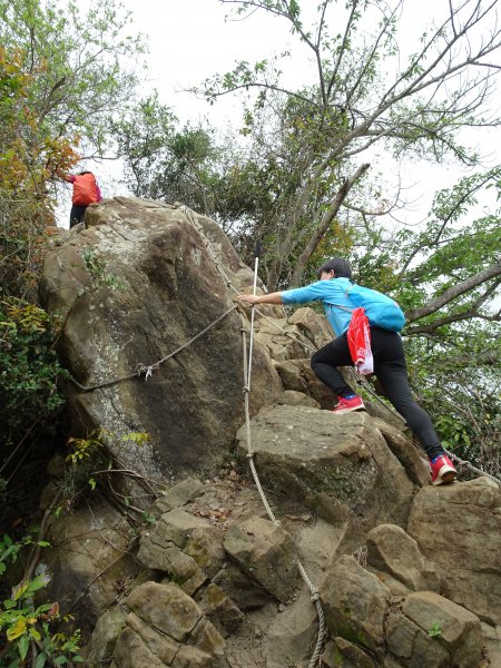 台灣小百岳第72座高雄旗山旗尾山之三角點551182