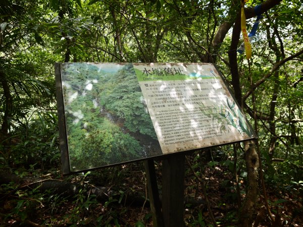 [淡蘭古道] 2026_0531 北路第一段_燦光寮古道(下)-牡丹溪畔3070969