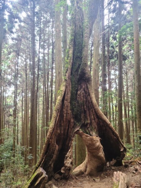 台灣富士山加里山1463430