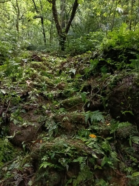 平溪區三功大厝+番子坑山+千階嶺步道O型2781127