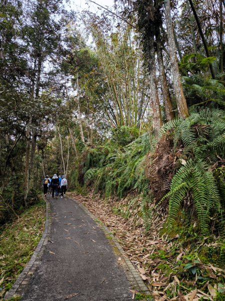 2025-03-29 日月潭「內湖山步道」2750220
