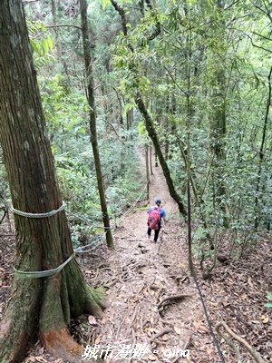 【台中和平】長壽山_肥崠山_山徑3077652