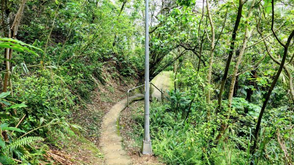 南港四小山。韓美磋2766486