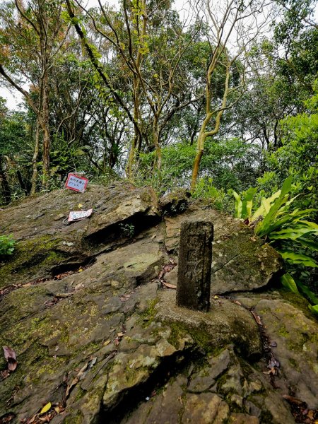 西阿里關山-小百岳#66-高雄市甲仙區2750003