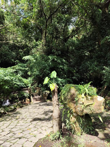 陽明公園→花鐘→小隱潭→湖山綠地→前山公園→陽明湖→陽明醫院舊址【發現陽明山】2-22629191