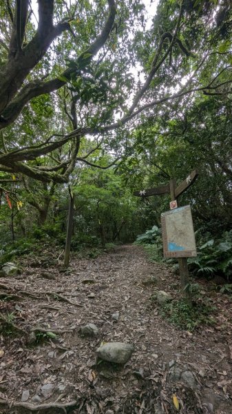 113.06.22坪溪古道-石坑山之旅2533781