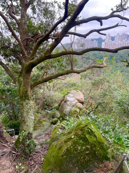 災後紅河谷越嶺小獅山仙跡岩觀音山路況2641470