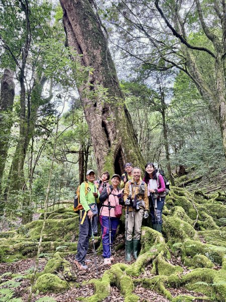 船型山神木悠遊    2025.09.222893814