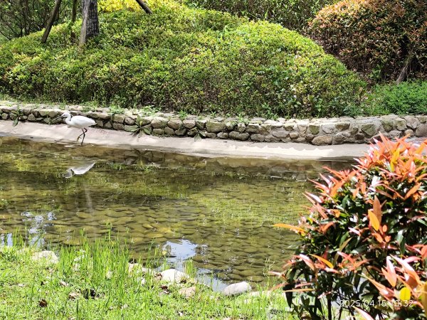 宏匯瑞光廣場、大港墘公園、至誠公園、師大公園2761911