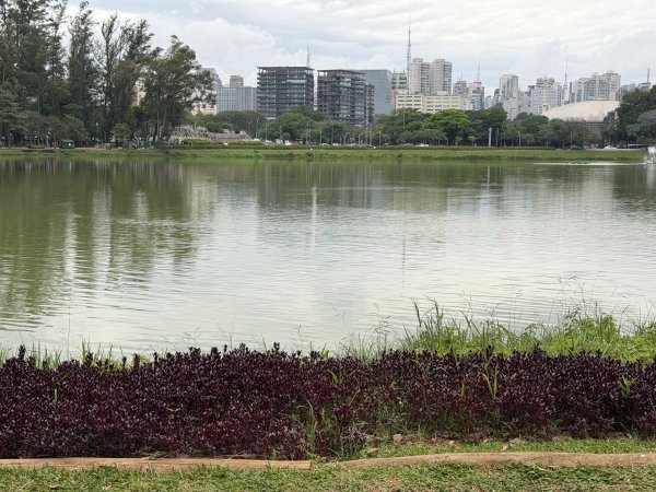 [紐約馬之行-68] 2025_1116 伊比拉布埃拉公園-中2955121