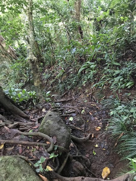 09.10蘭嶼 人之島 神秘的大天池679583