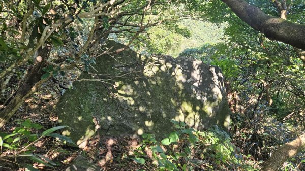 20250820金童玉女月牙天沖(金童嶺-玉女嶺-女王尖-月牙嶺-瑞光嶺-明月崙-清淨嶺-文筆嶺-清2872741