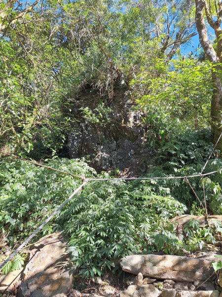 日湯真山202601042978581