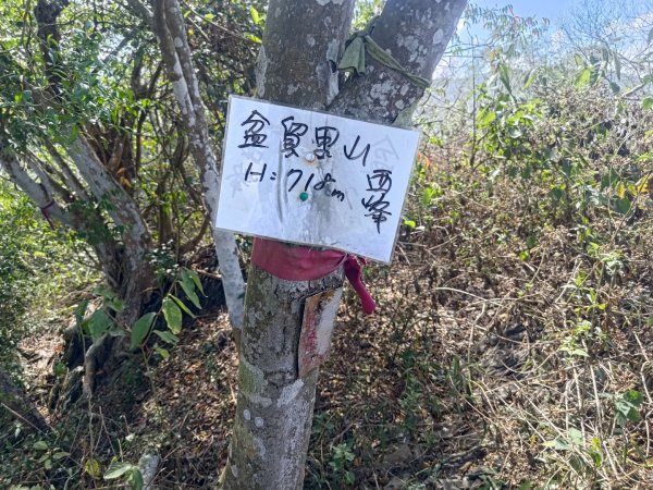 盆貿里山三盆連走2749582