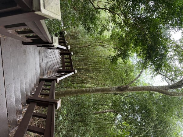 后里觀音山 鳳凰山2816250