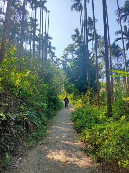 關子嶺大凍山（小百岳）+雞籠山2234597