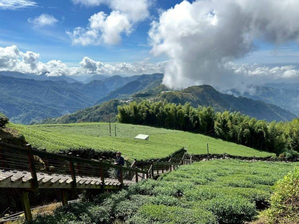 20251029石棹茶、霧、雲、霞、櫻、愛之道 樂野山 霹靂山2926615