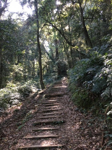 特富野古道893347