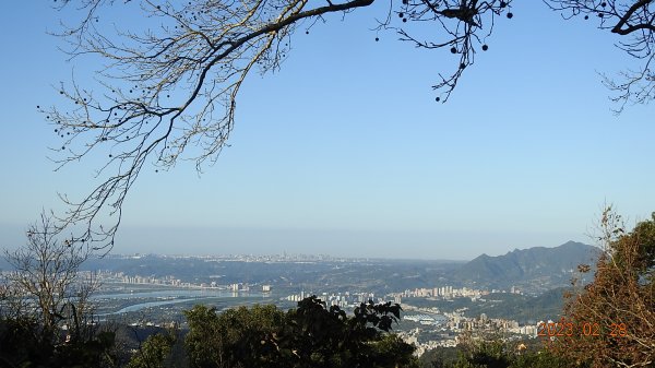 追花是簡單的快樂，賞花是恬淡的幸福。2/282045047