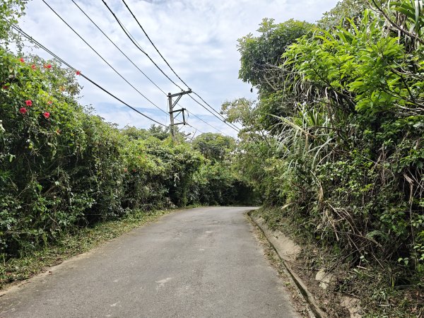 [微笑山線_第一段] 2026_0725 大棟山系_大同山3101729