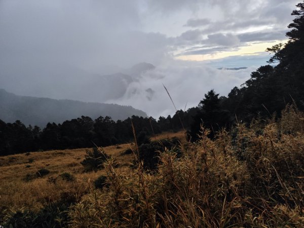 1/1元旦雪主東2681439