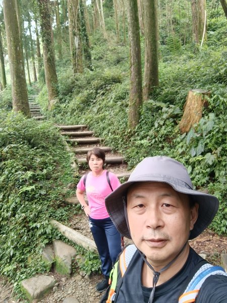 嘉義大凍山2876979