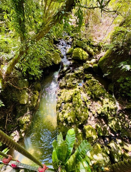 台北縱走第七段 訪獅球山 樟湖山 樟山 炮子林山3017482