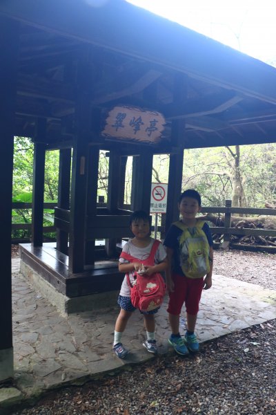 2016.09.11-天母水管路步道2015101